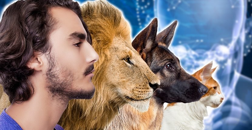 Hvorfor har kun mennesker en hage? Evolutionens svar