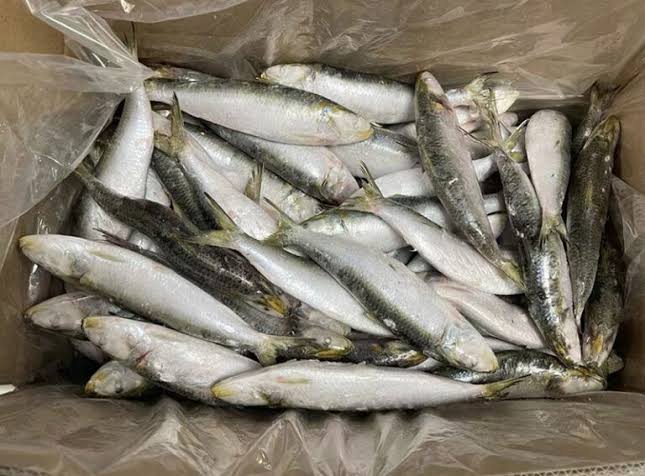 Disse billige dåsefisk kan uventet styrke din hjerne